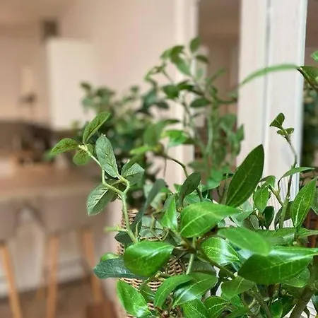 Apartment Fishponds Flat 1 By Mia Living 2 Bedroom Bristol